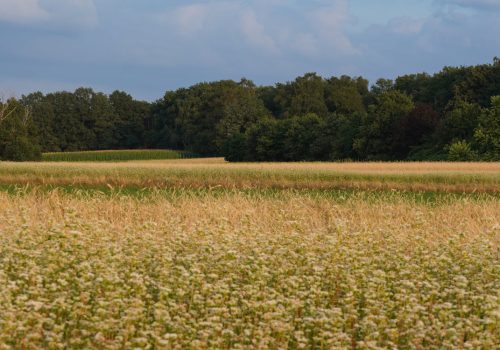 Dé specialist in factuur-automatisering voor de agro sector​